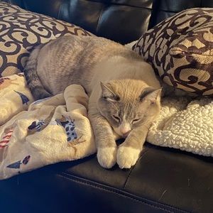 Meet your Posher, Jill